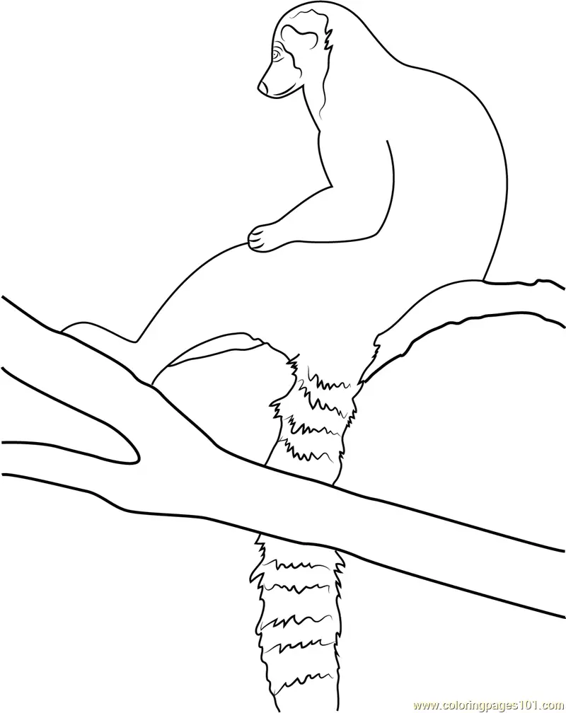 Lemur Coloring Pages 5