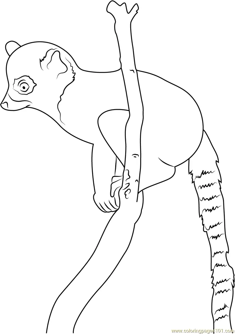 Lemur Coloring Pages 6