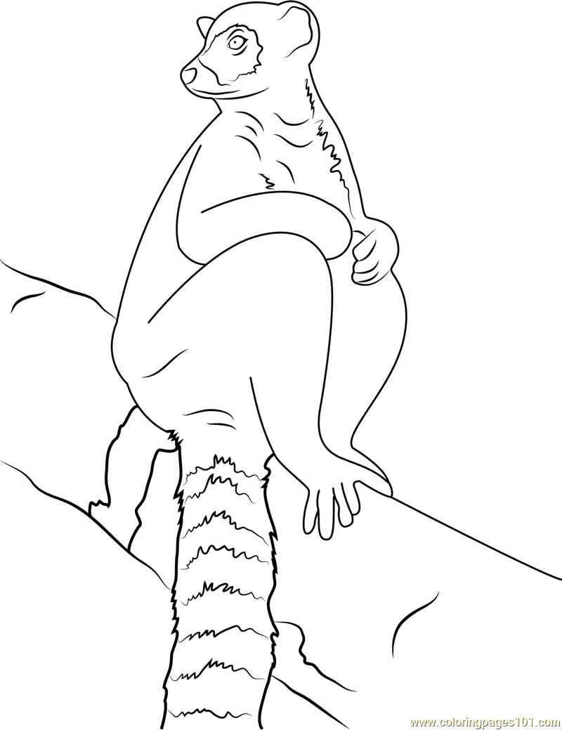 Lemur Coloring Pages 8