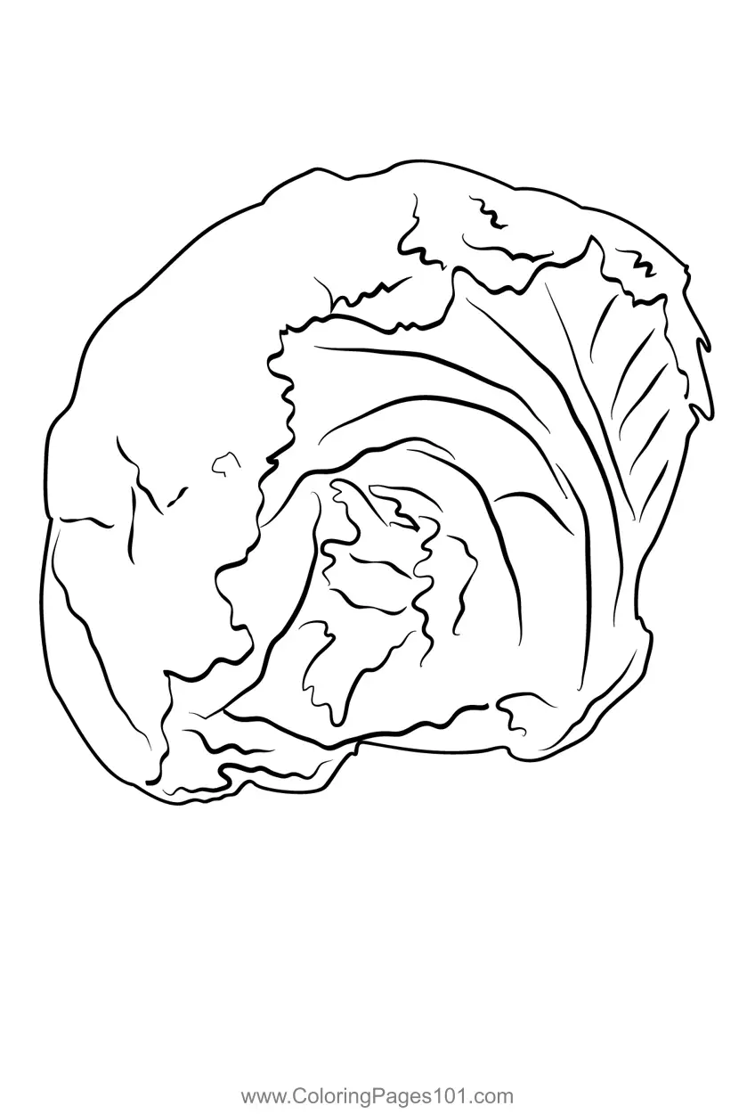 Lettuce Coloring Pages 3