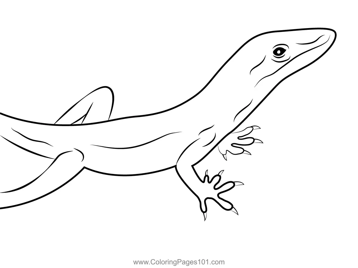 Lizards Coloring Pages 10