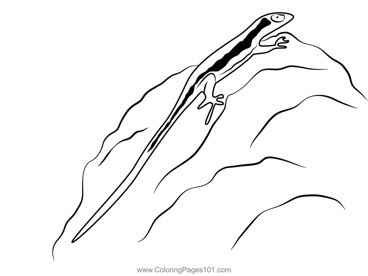 Lizards Coloring Pages 3
