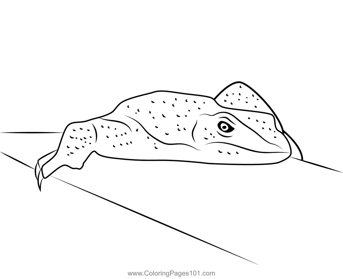 Lizards Coloring Pages 4