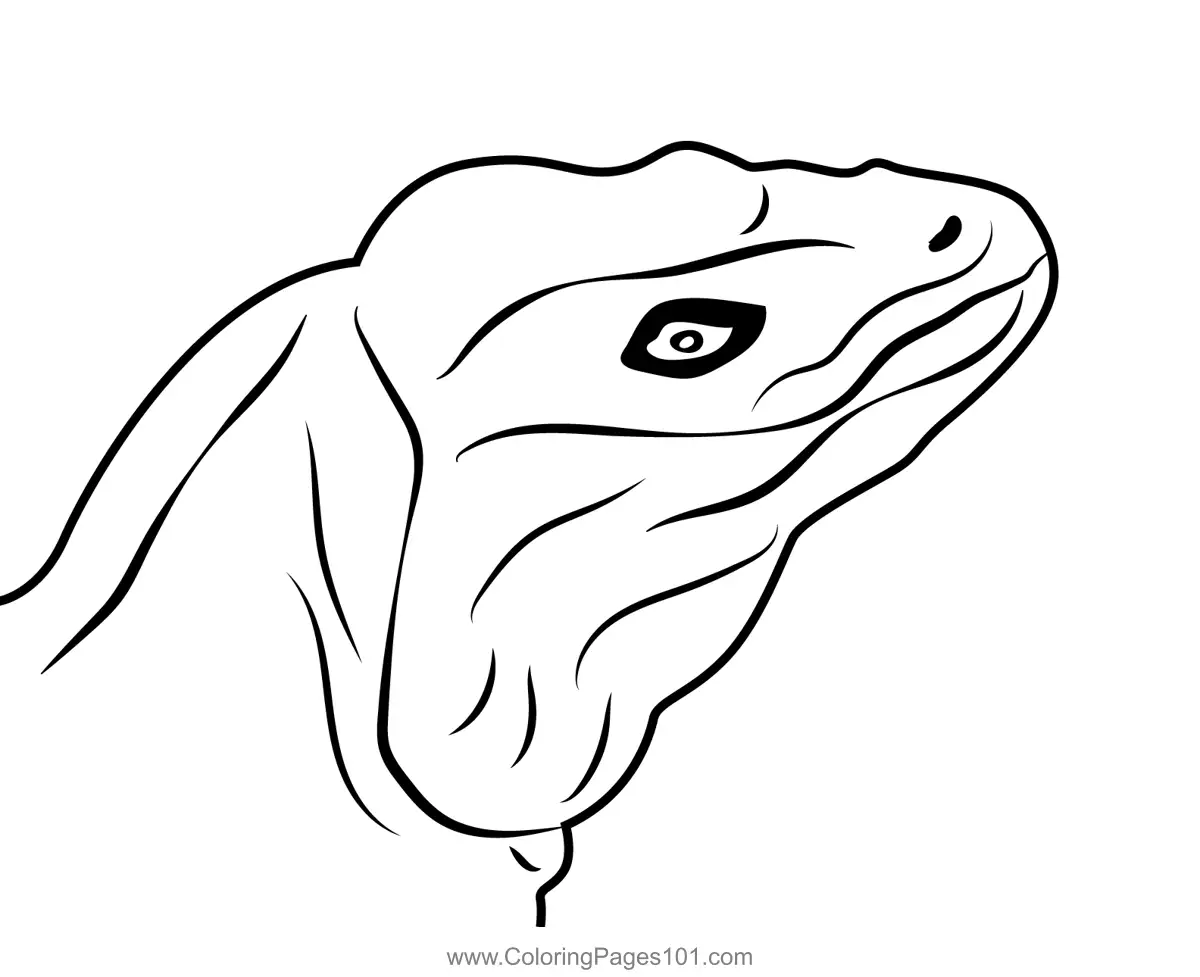 Lizards Coloring Pages 6