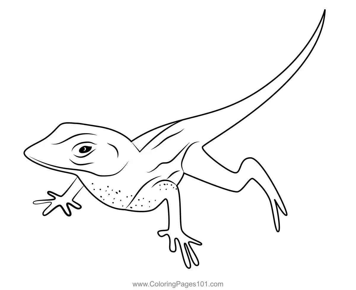 Lizards Coloring Pages 7