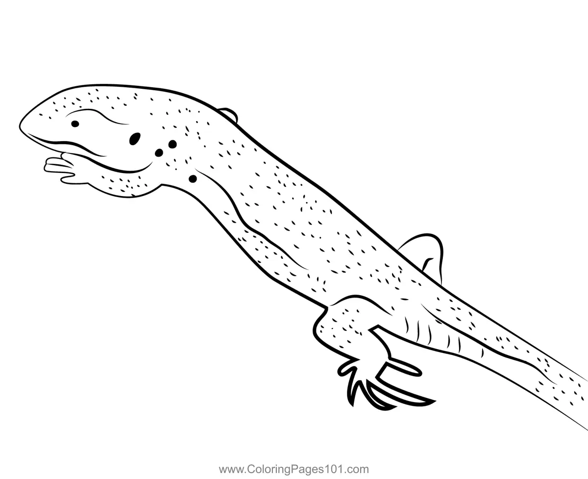 Lizards Coloring Pages 9