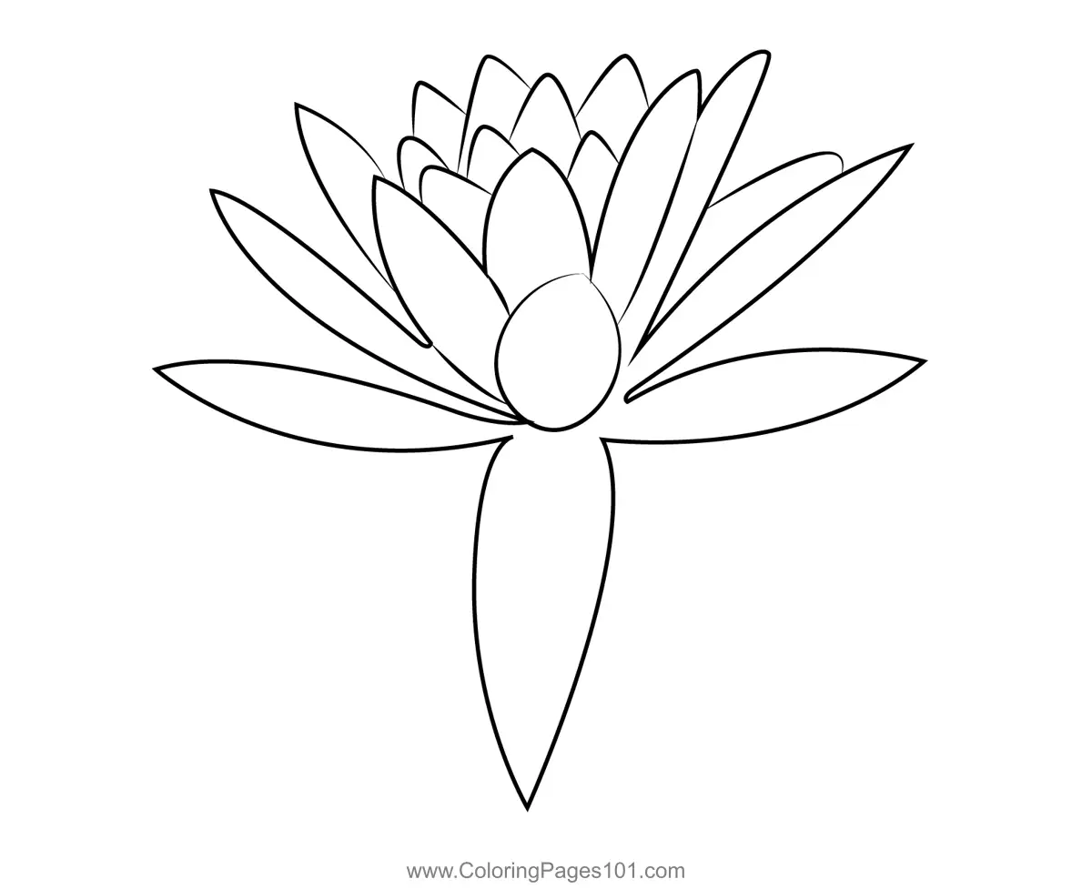 Lotus Coloring Pages 3