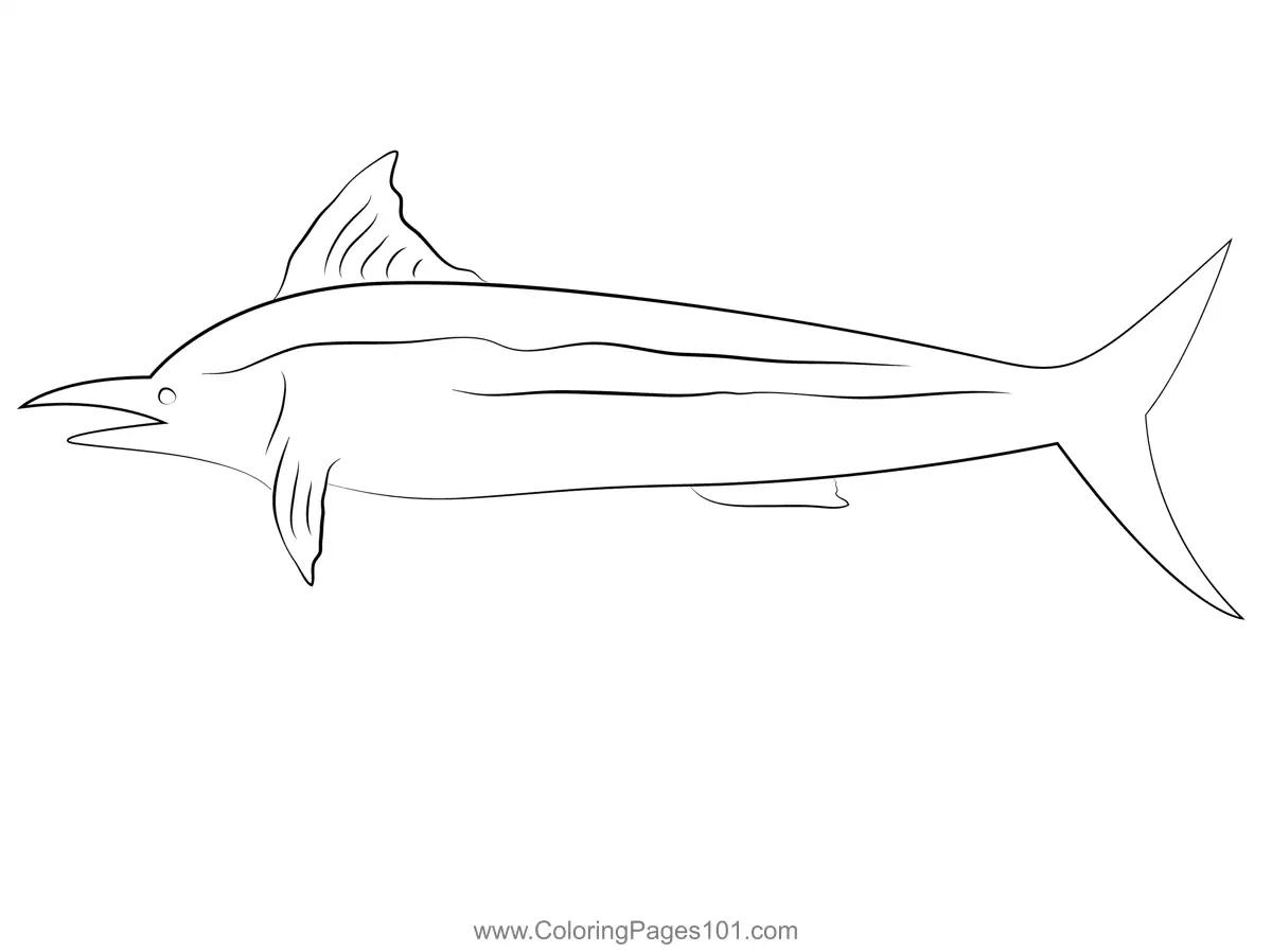 Marlins Coloring Pages 5