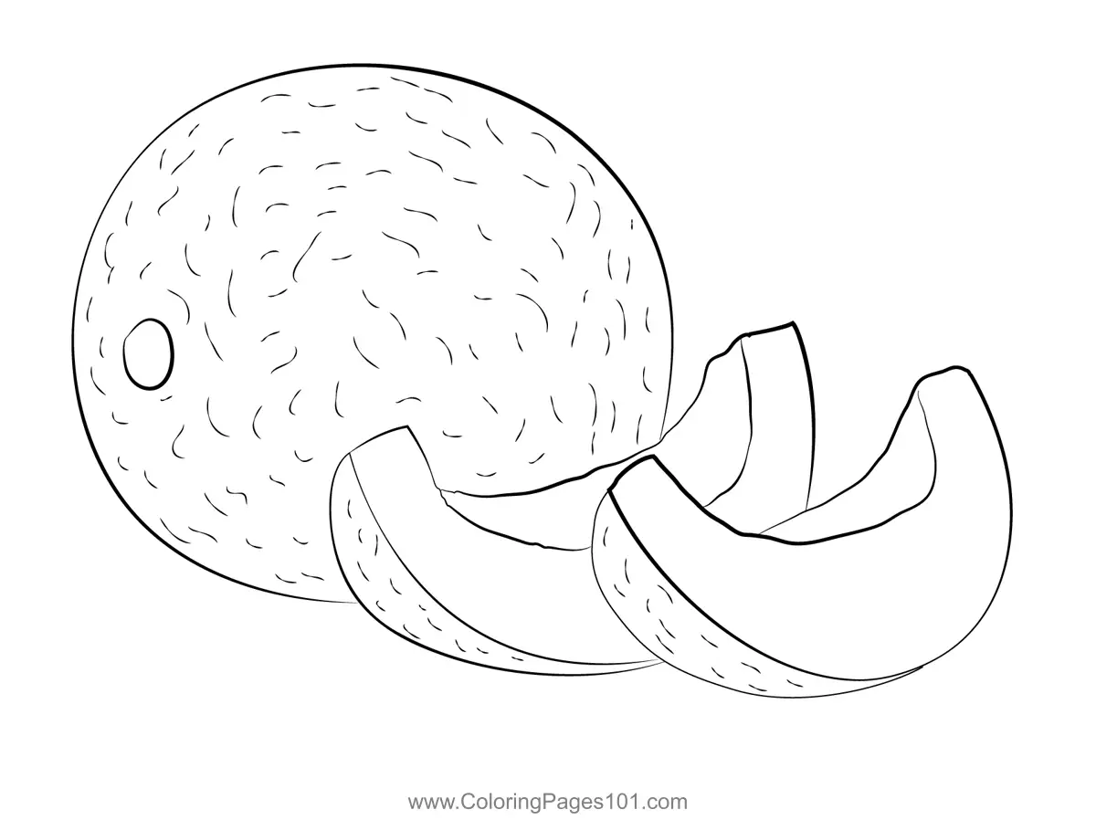 Melon Coloring Pages 2