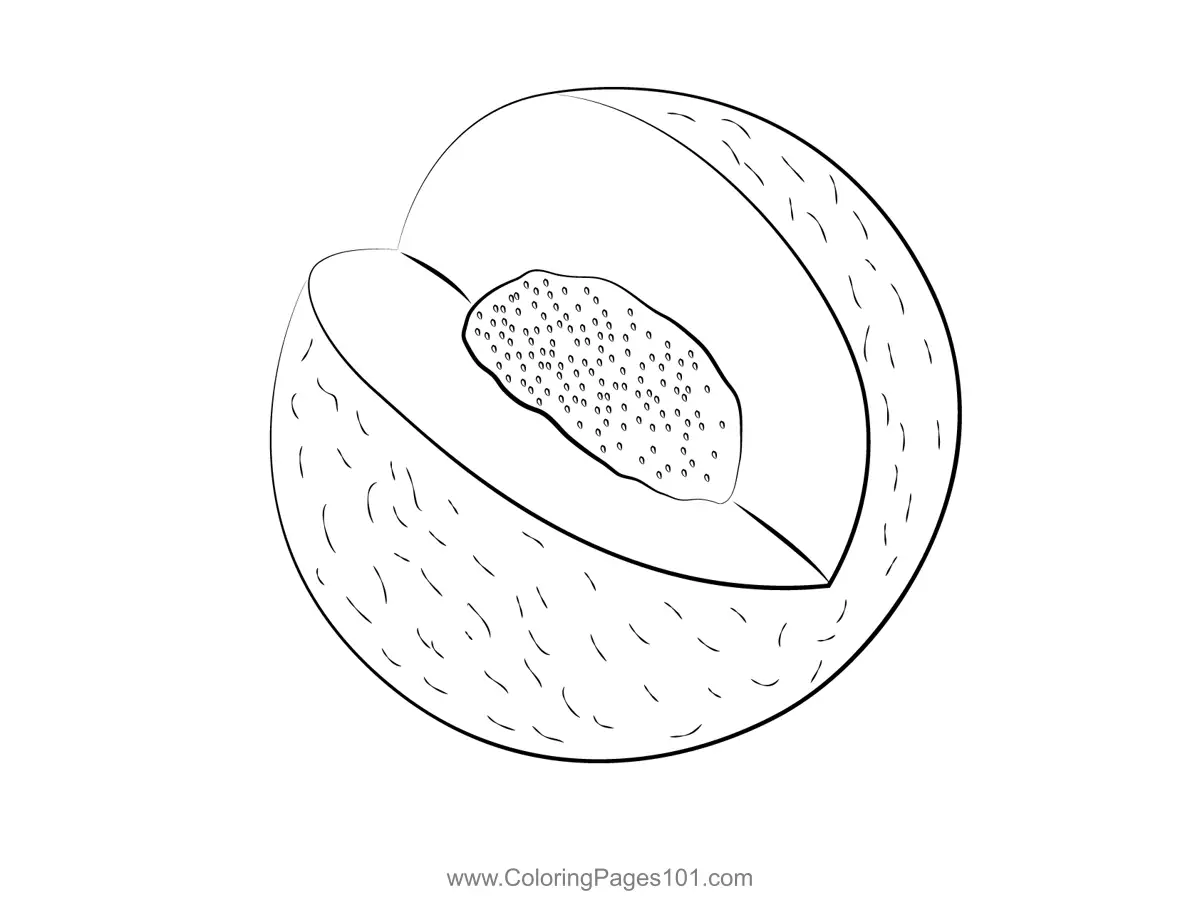 Melon Coloring Pages 3