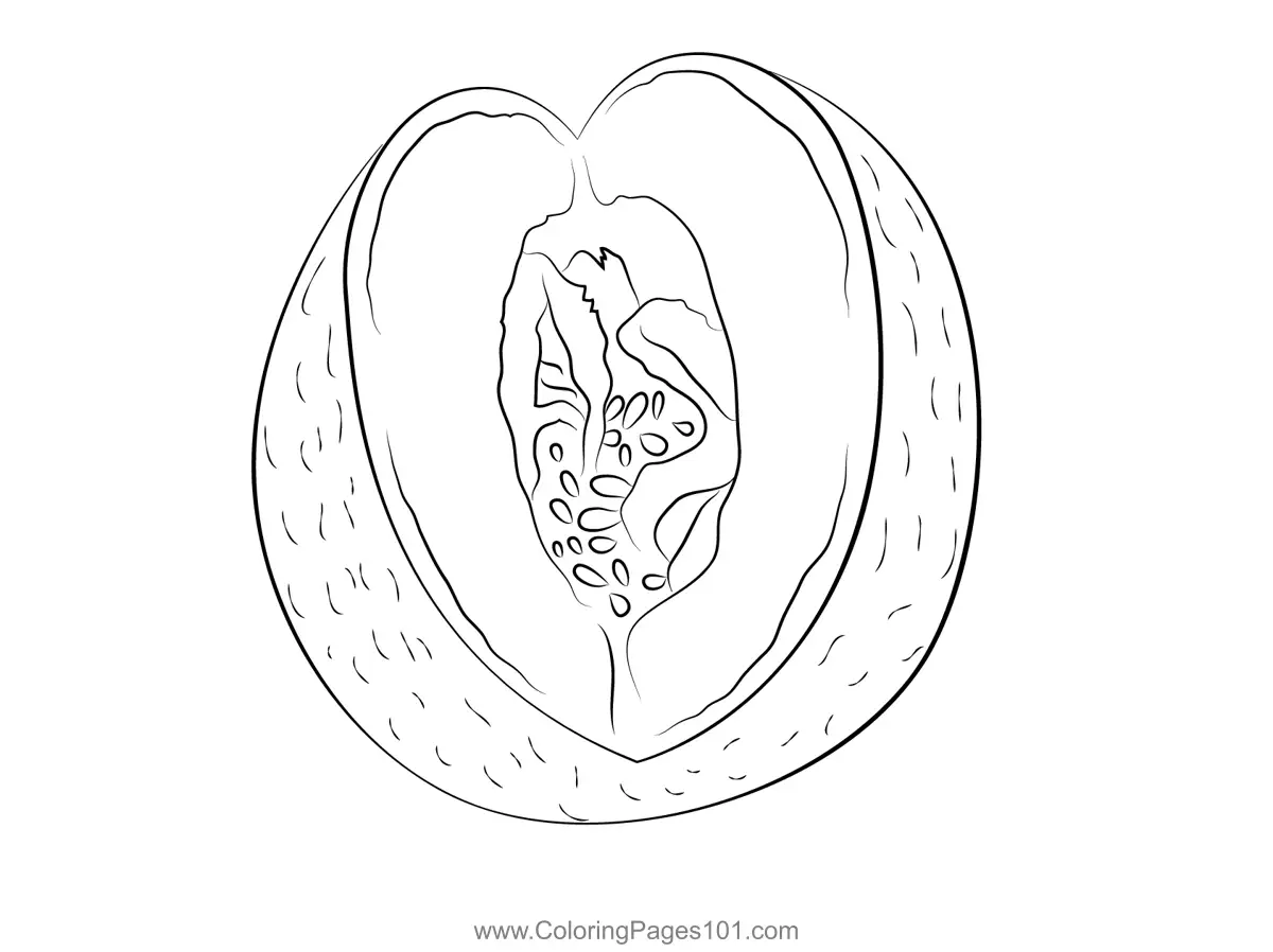 Melon Coloring Pages 4