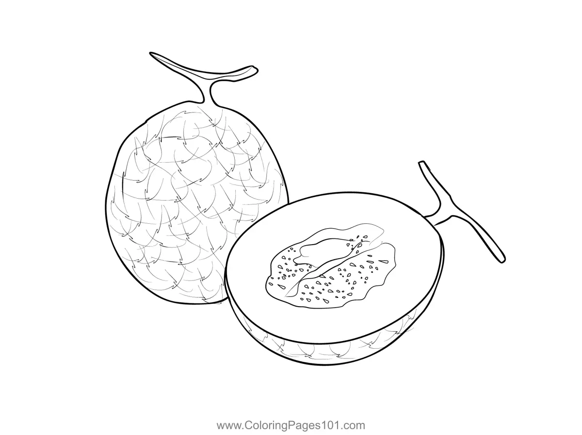 Melon Coloring Pages 5