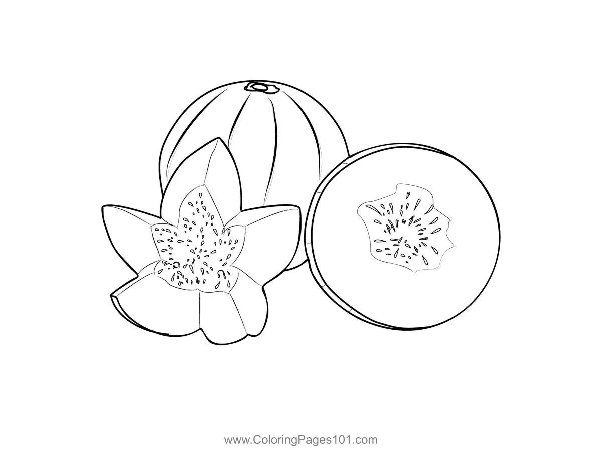 Melon Coloring Pages 6