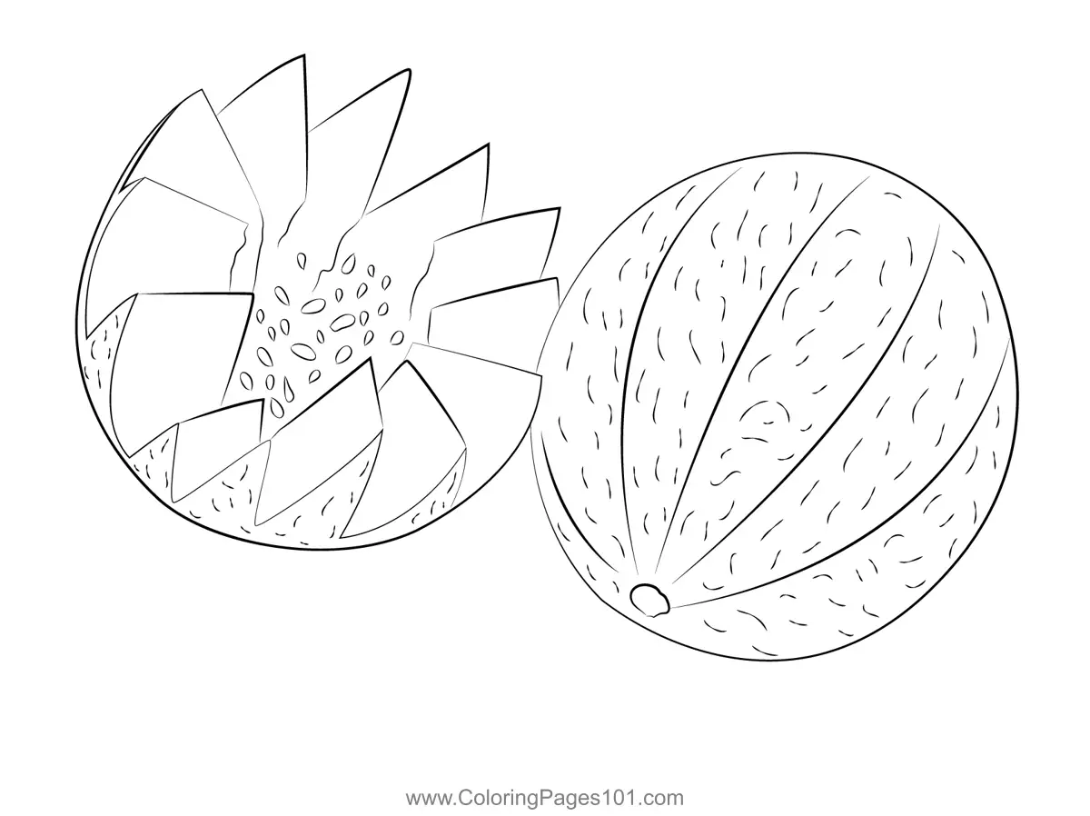 Melon Coloring Pages 8