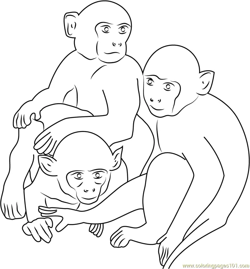Monkey Coloring Pages 10