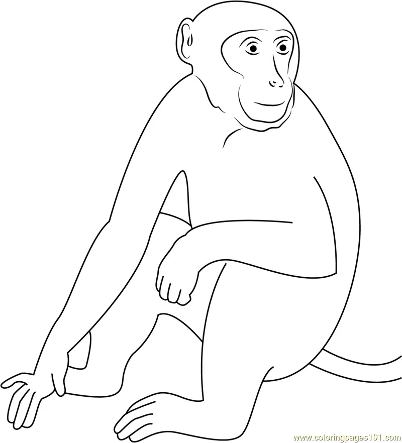 Monkey Coloring Pages 12