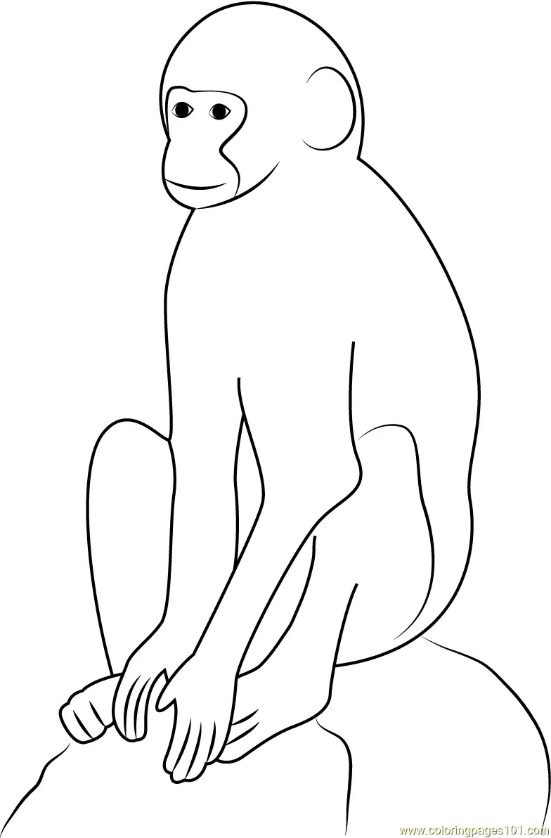 Monkey Coloring Pages 8