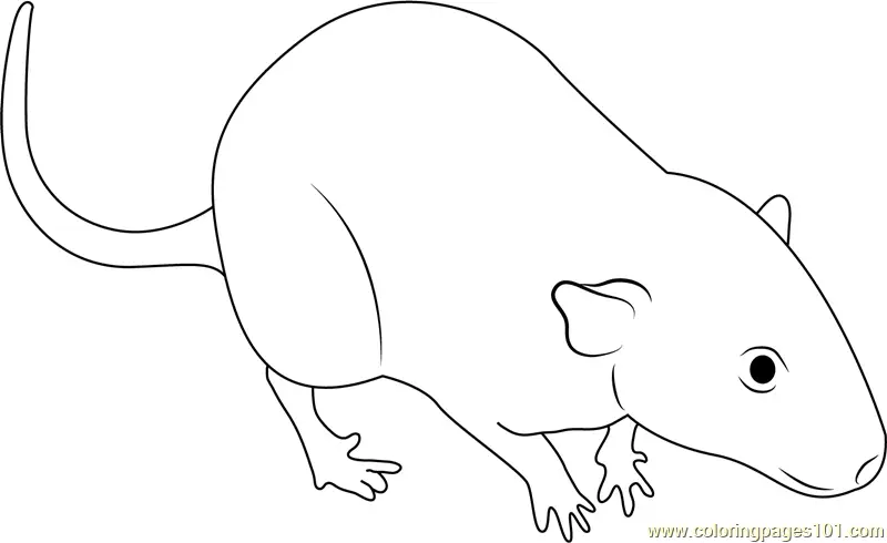 Mouse Coloring Pages 10