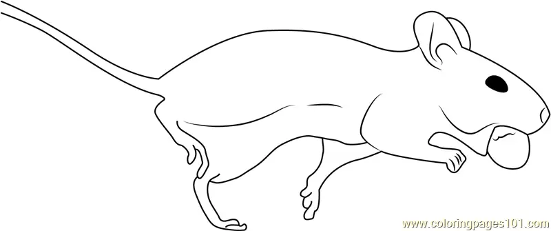 Mouse Coloring Pages 11