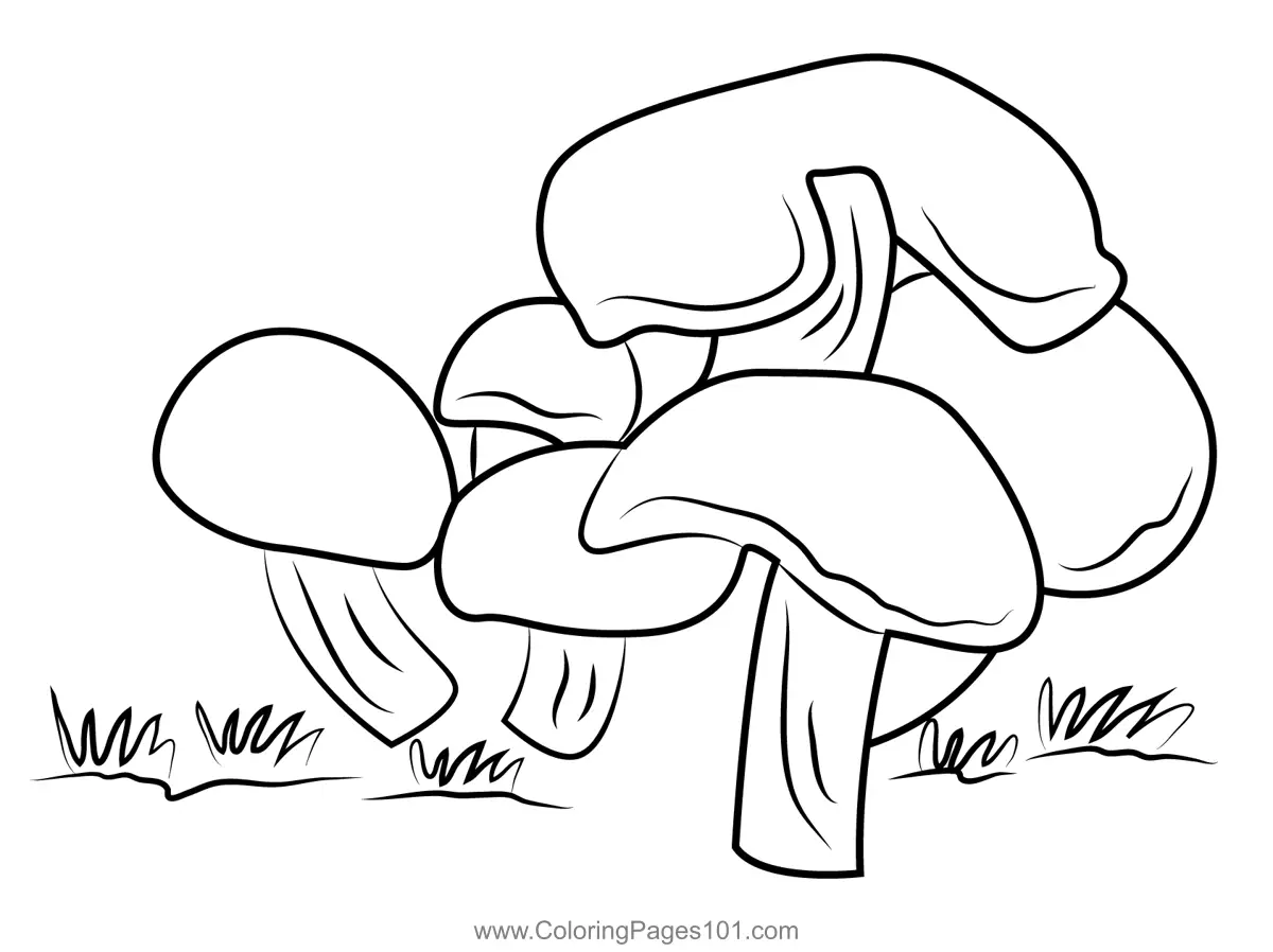 Mushrooms Coloring Pages 7