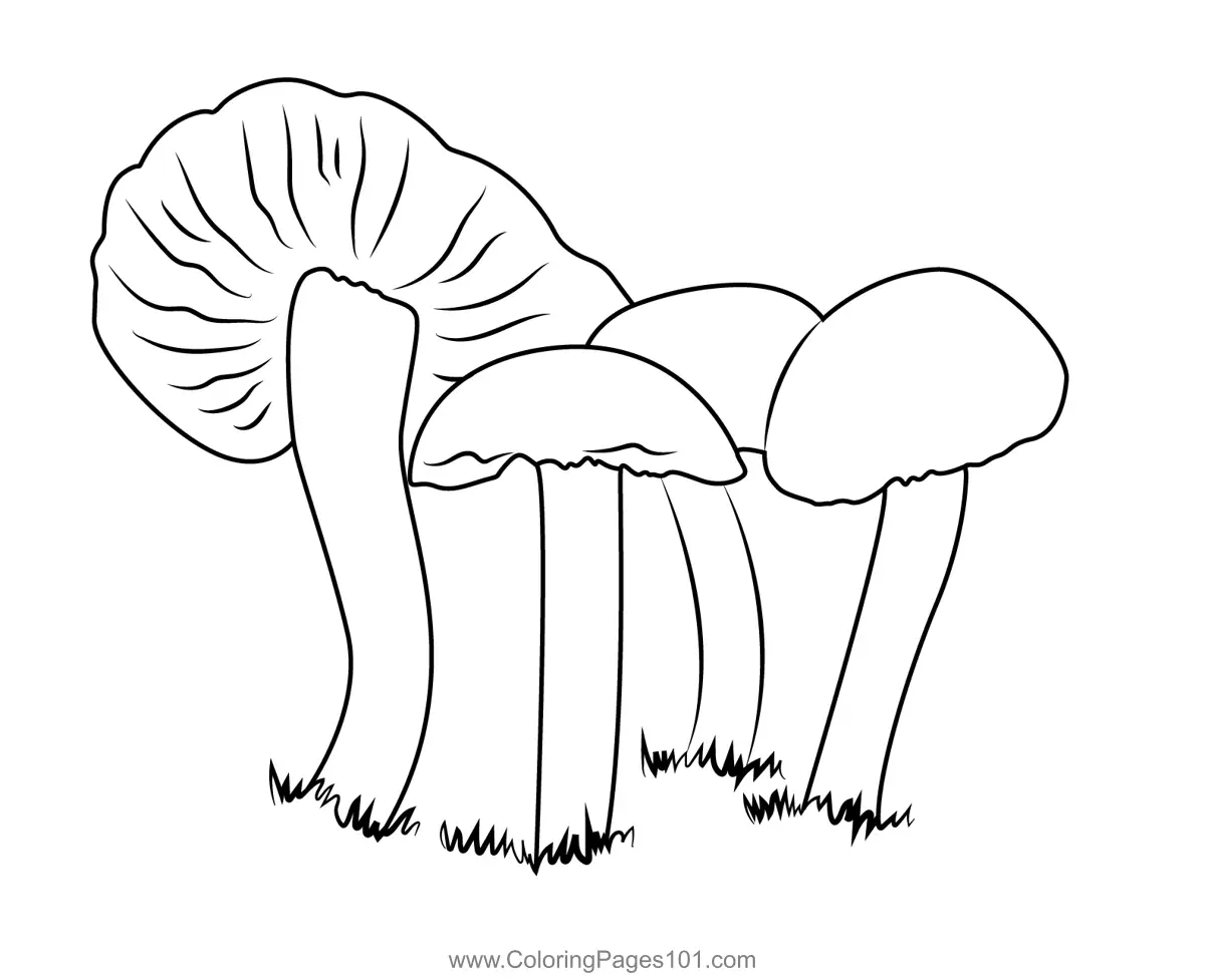 Mushrooms Coloring Pages 9