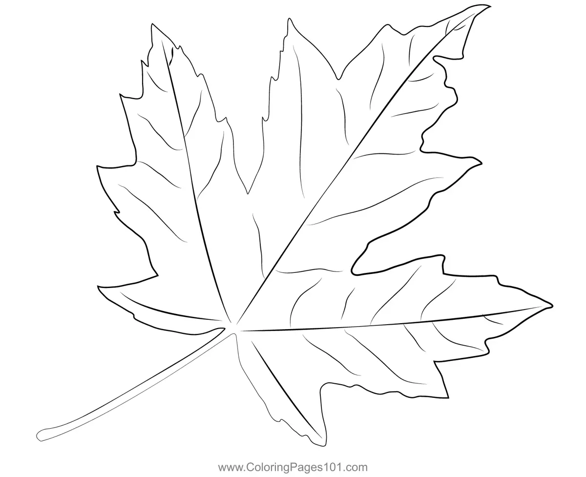 National Day - Canada Coloring Pages 8