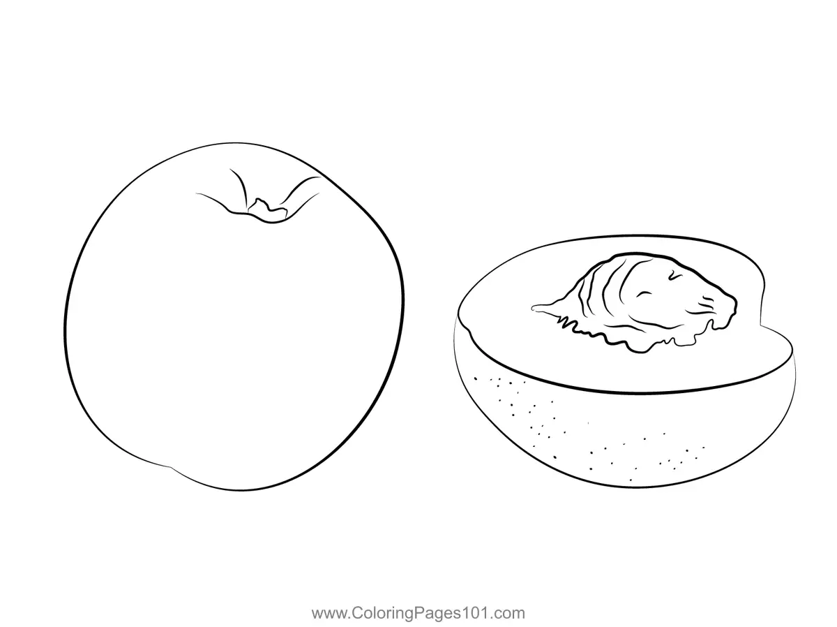 Nectarine Coloring Pages 1