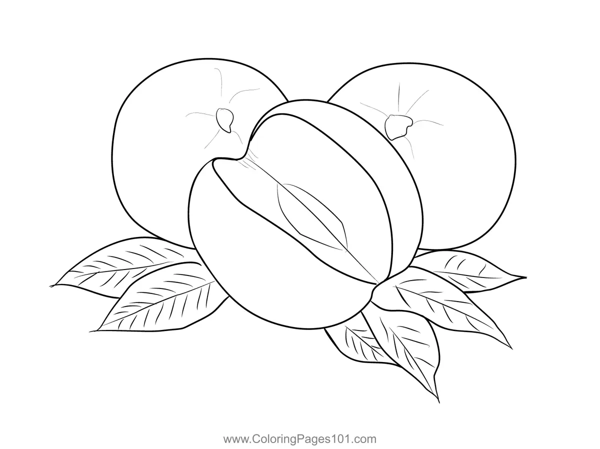 Nectarine Coloring Pages 11
