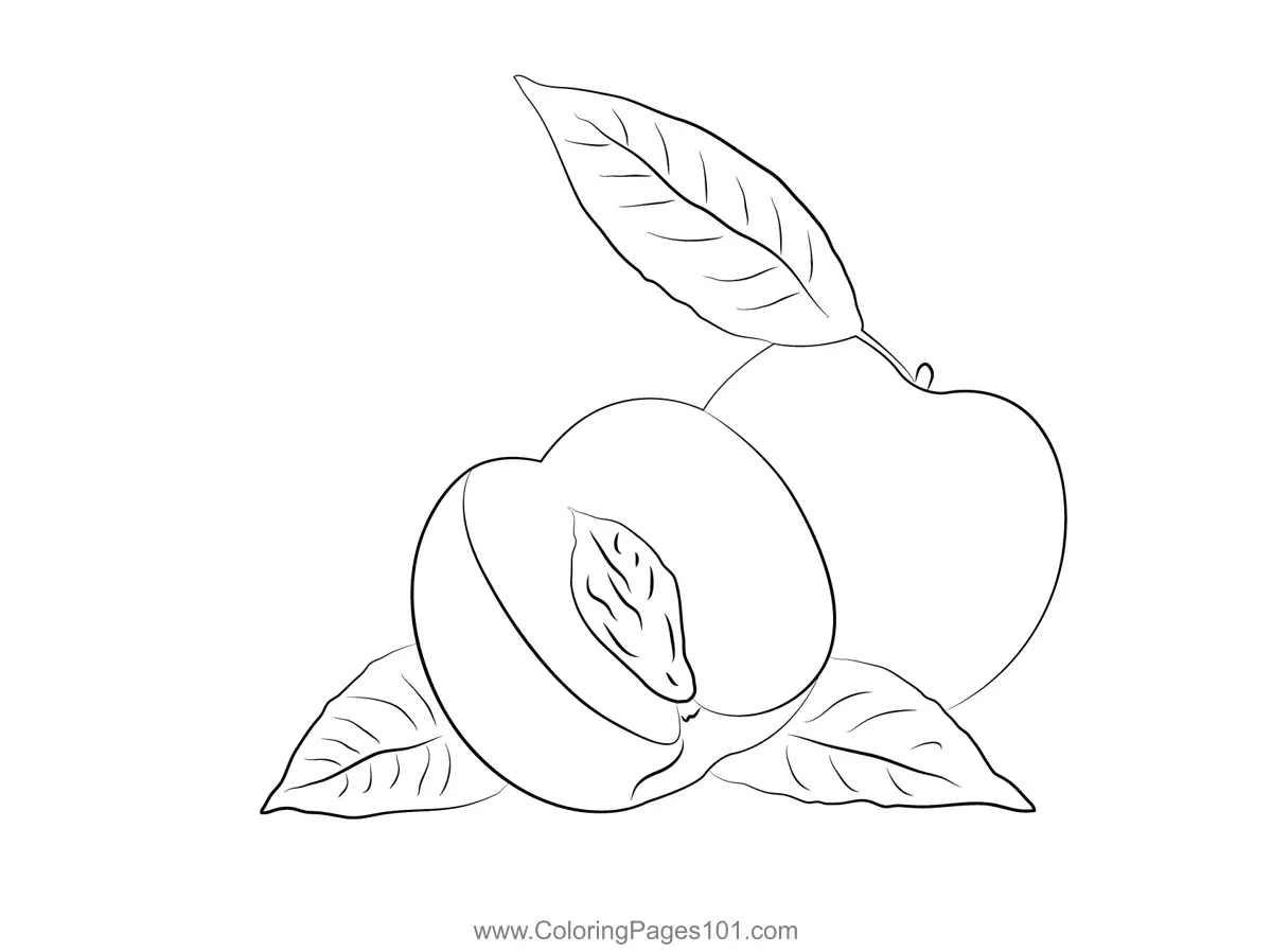 Nectarine Coloring Pages 2