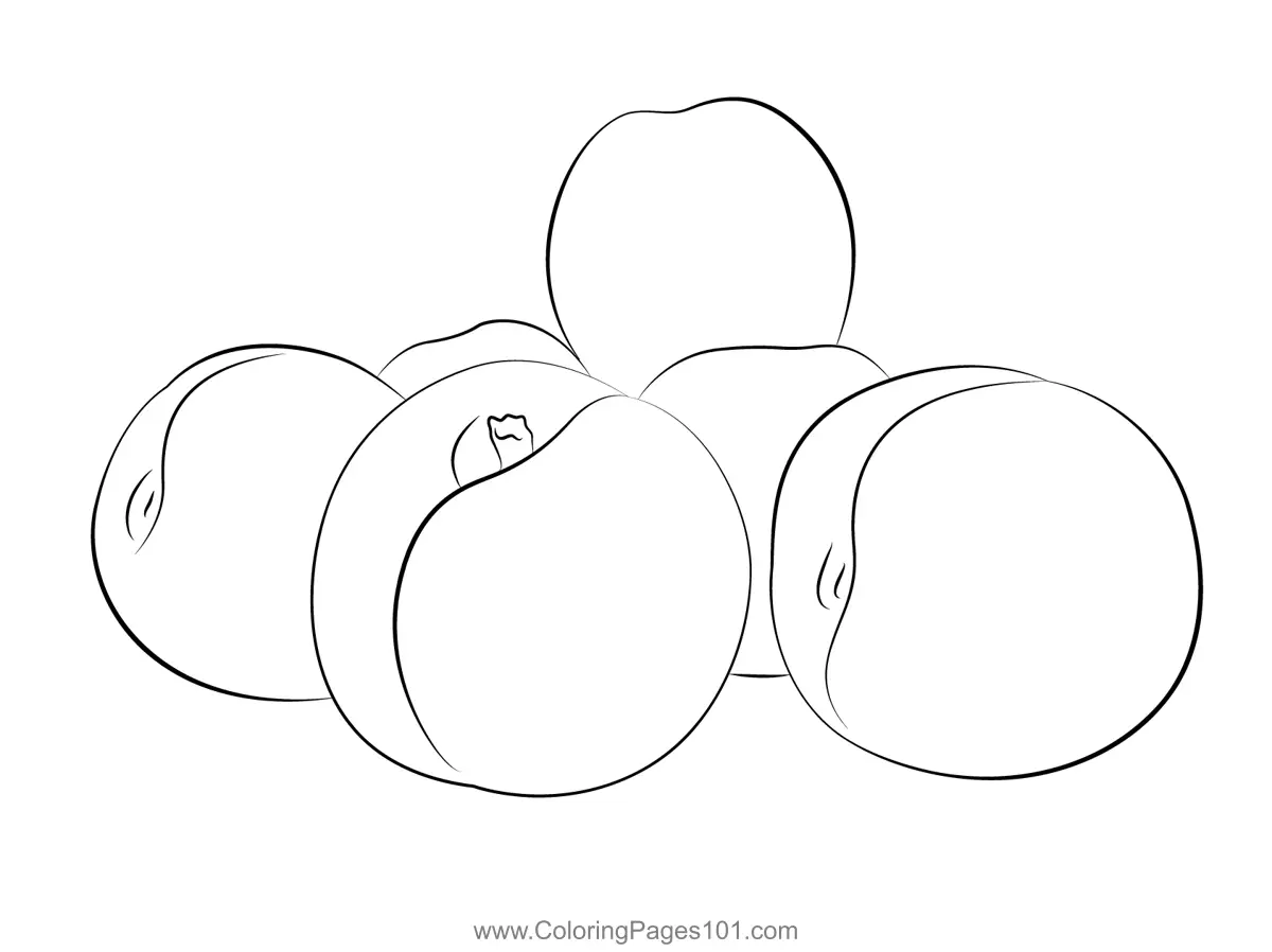 Nectarine Coloring Pages 4