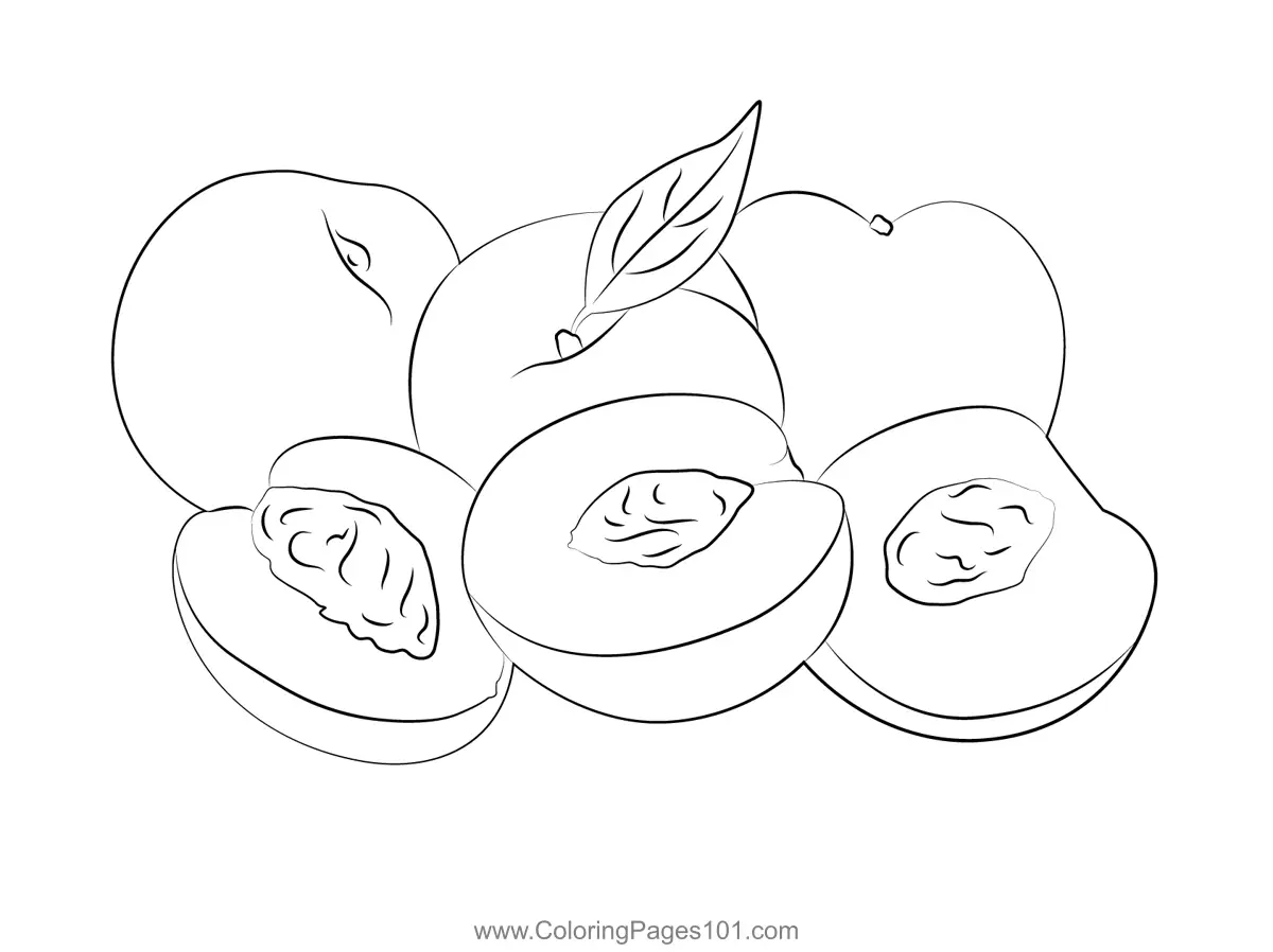 Nectarine Coloring Pages 6