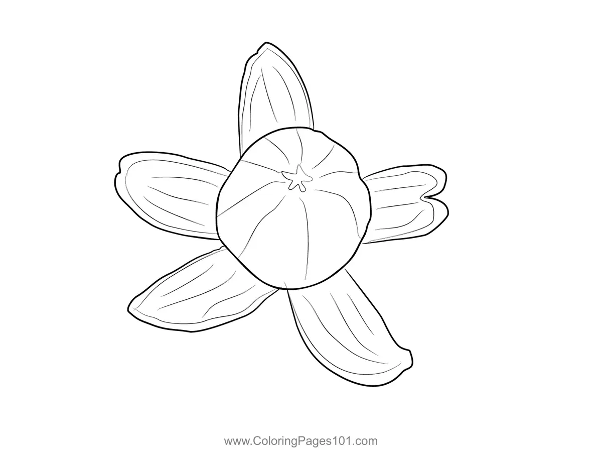 Orange Coloring Pages 6