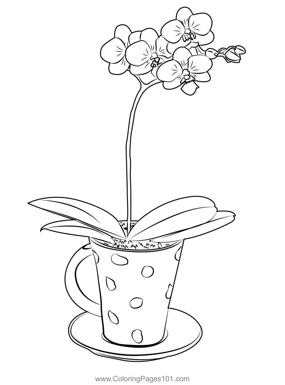 Orchids Coloring Pages 1