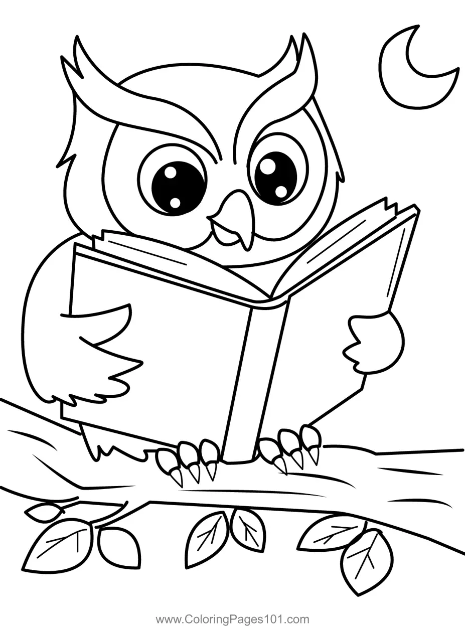 Owls Coloring Pages 6