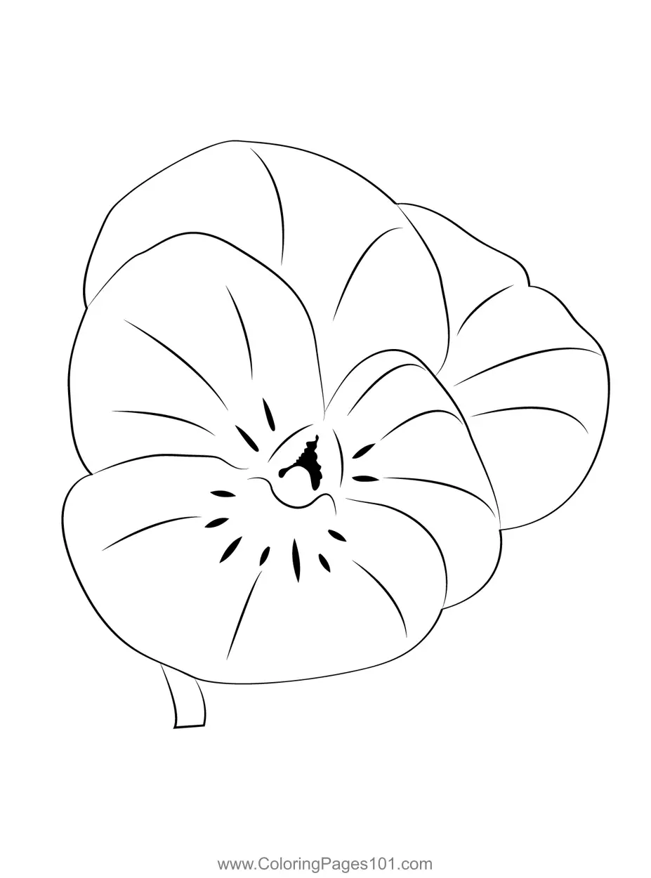 Pansy Coloring Pages 2