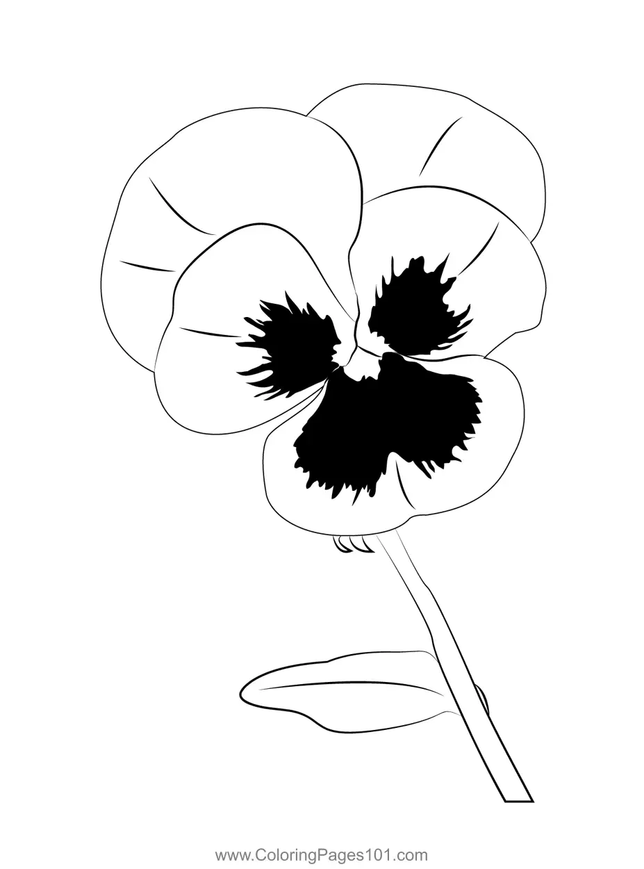 Pansy Coloring Pages 4