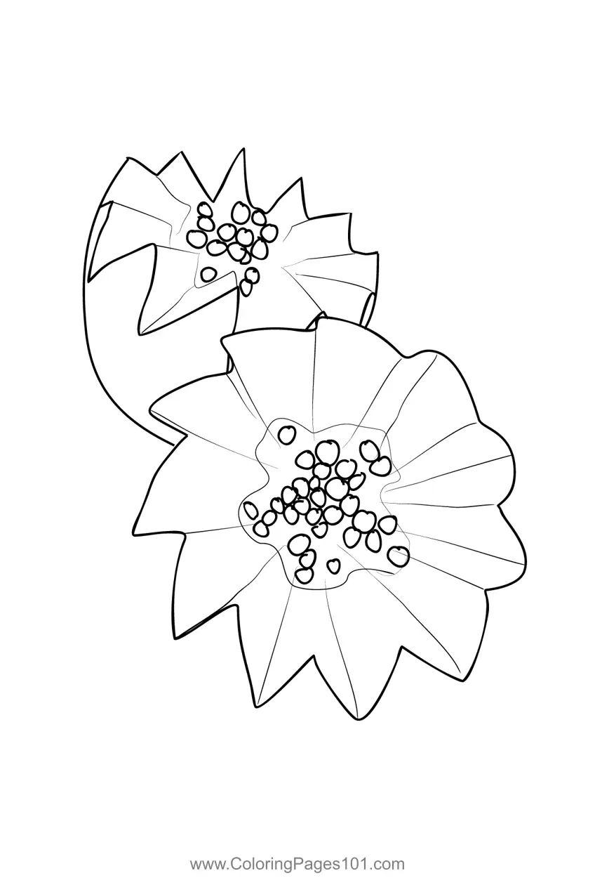 Papaya Coloring Pages 5