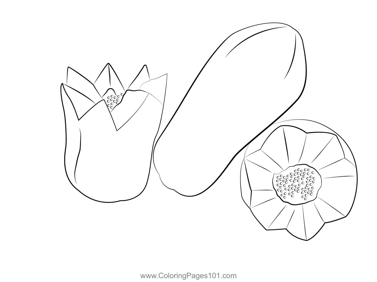 Papaya Coloring Pages 9