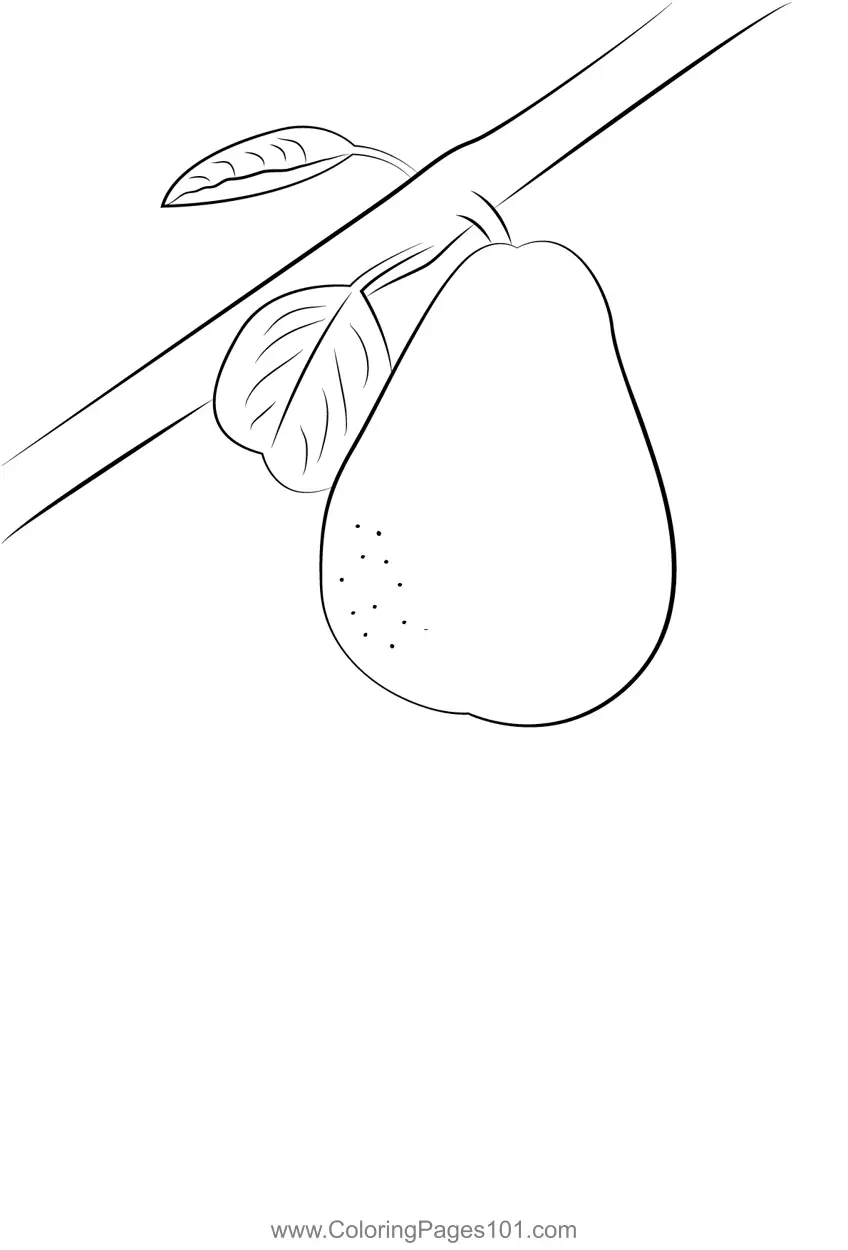 Pear Coloring Pages 10