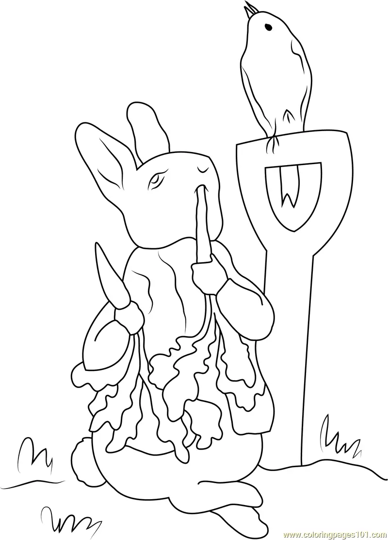 Peter Rabbit Coloring Pages 4