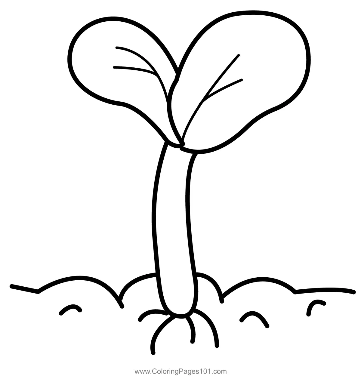 Plants Coloring Pages 2