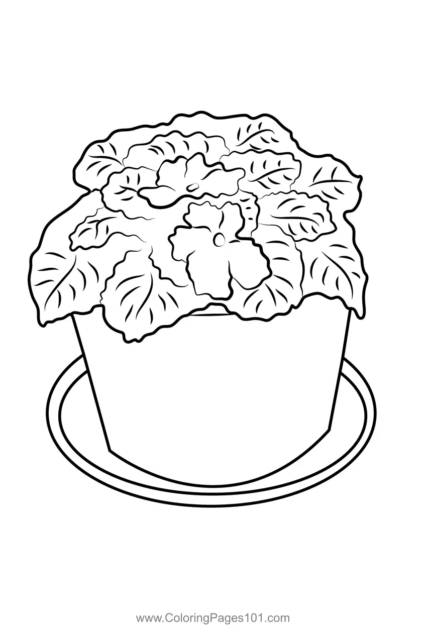 Plants Coloring Pages 5