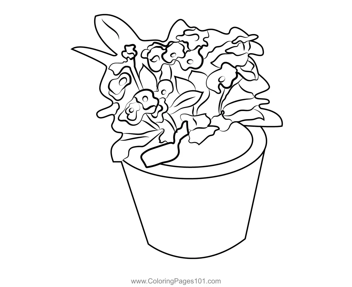 Plants Coloring Pages 8