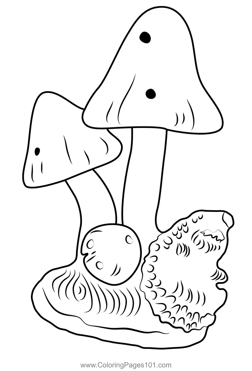 Plants Coloring Pages 9