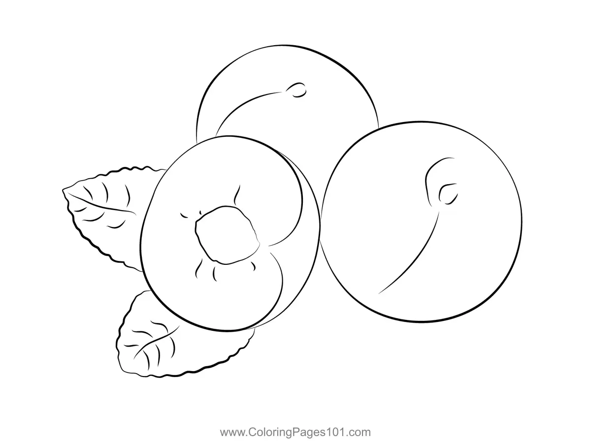 Plum Coloring Pages 10