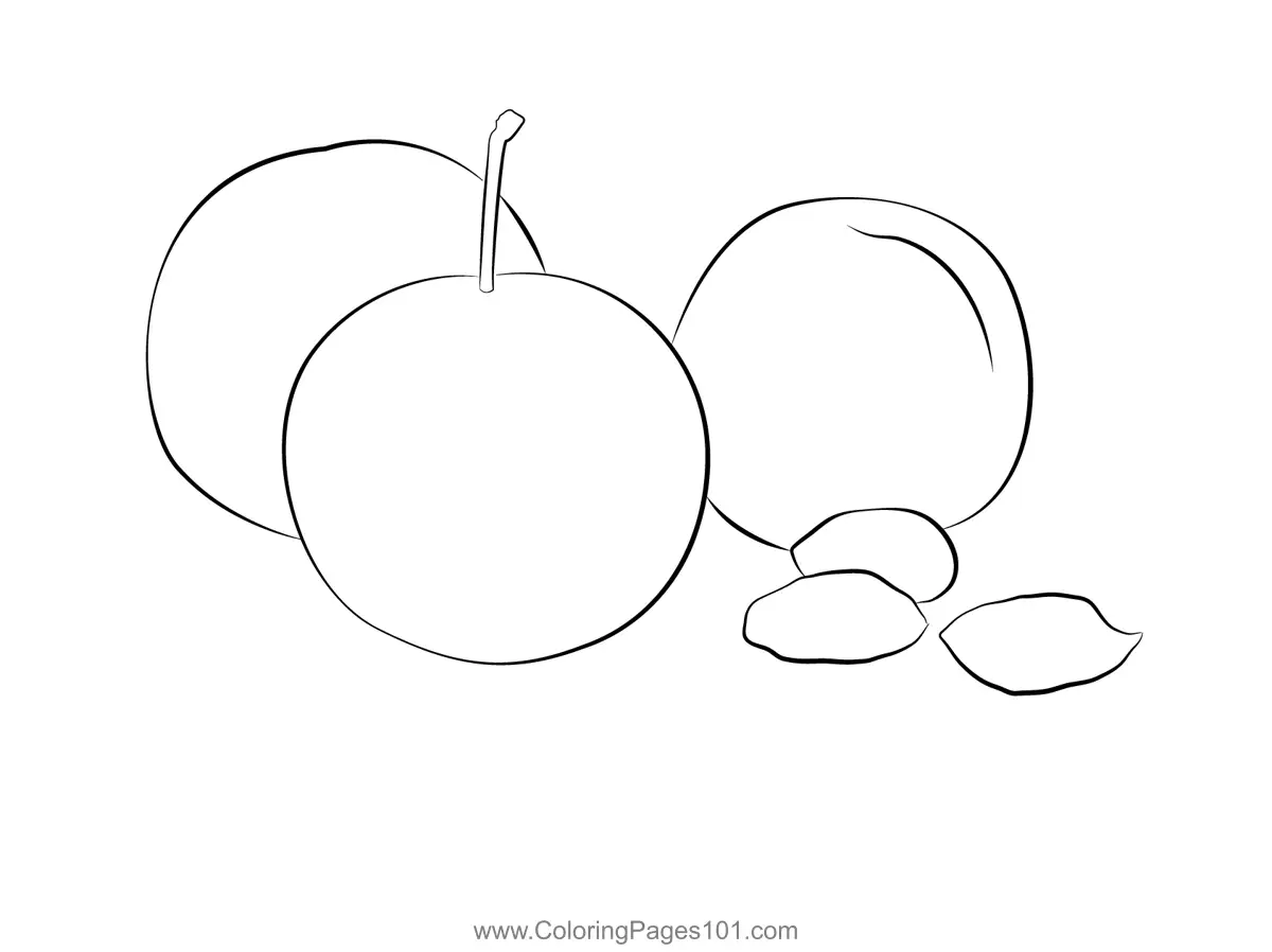 Plum Coloring Pages 3