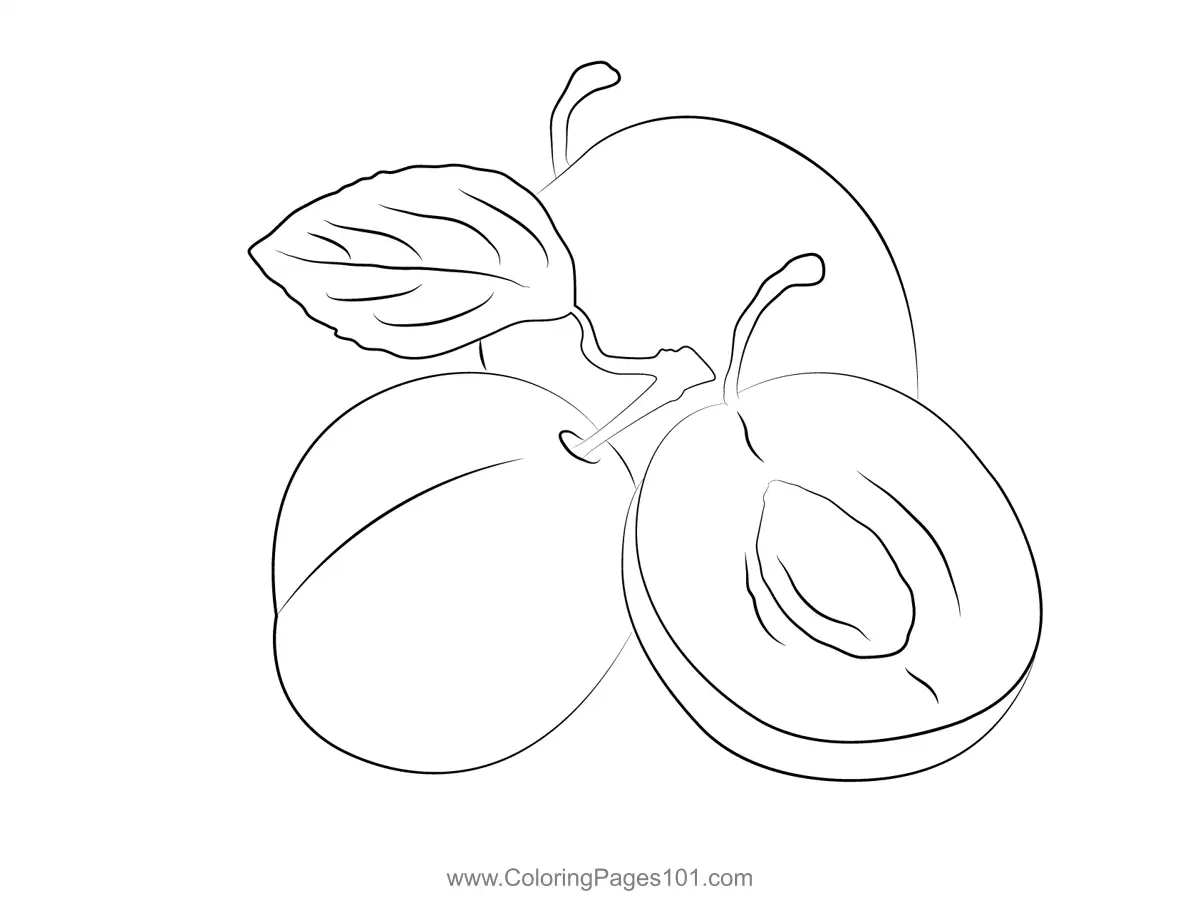Plum Coloring Pages 4