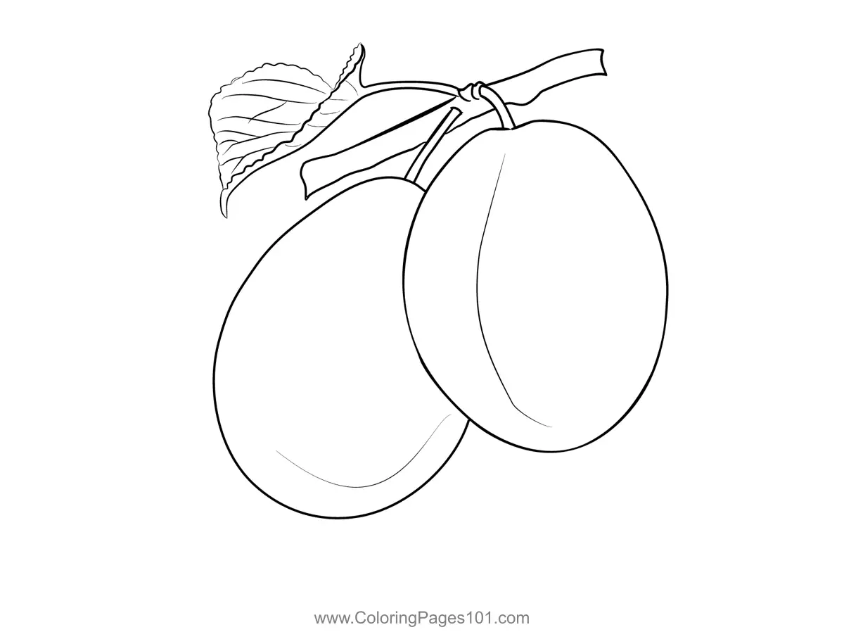 Plum Coloring Pages 7