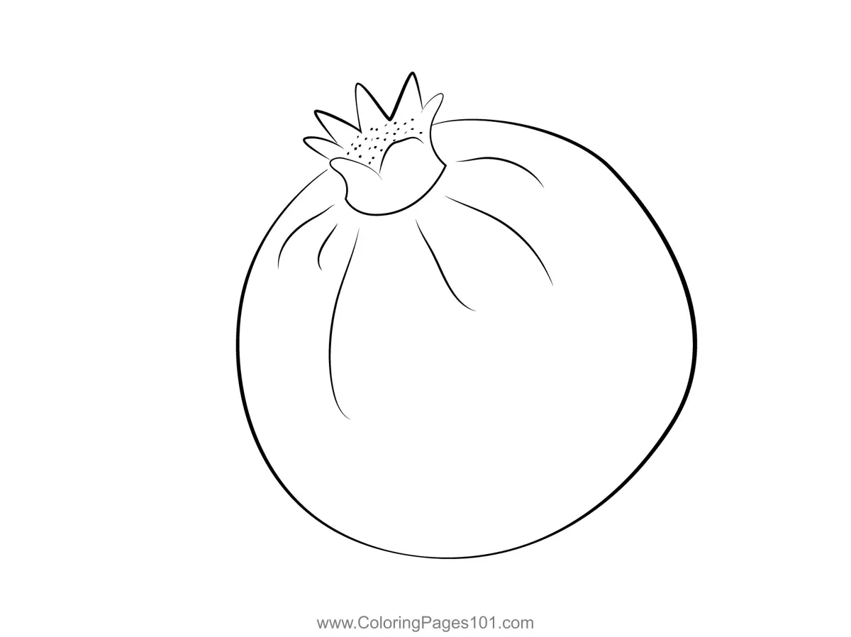 Pomegranate Coloring Pages 3