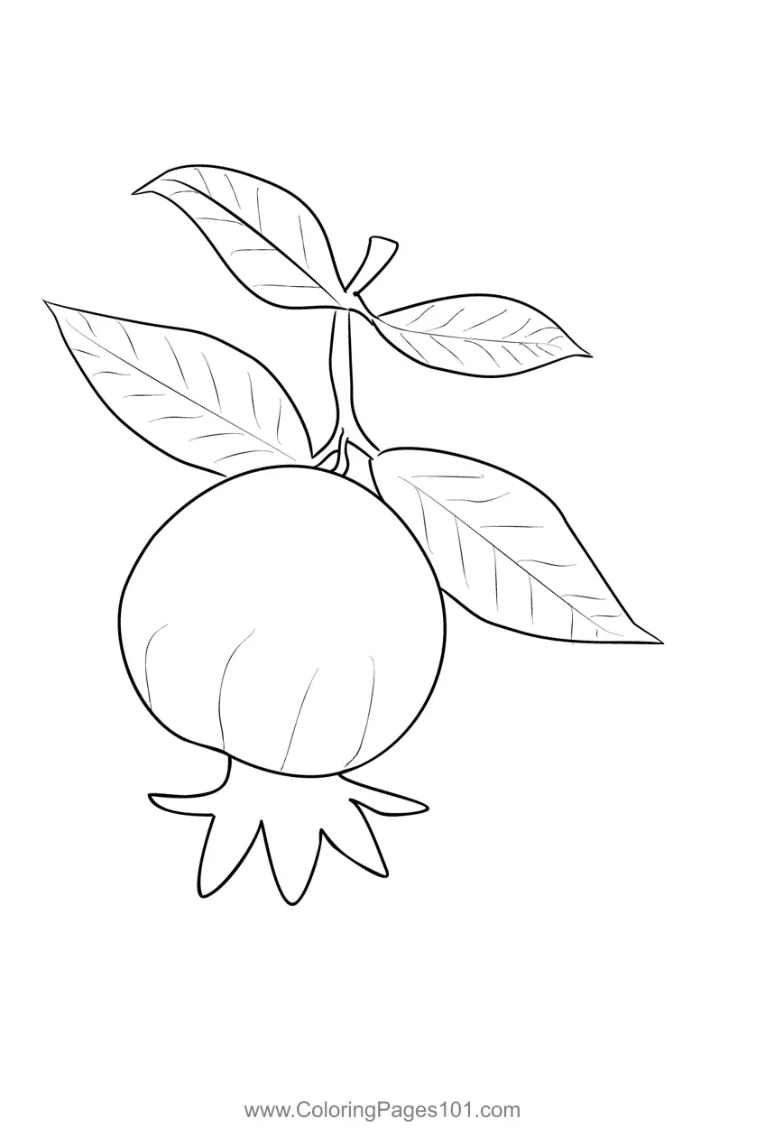 Pomegranate Coloring Pages 4